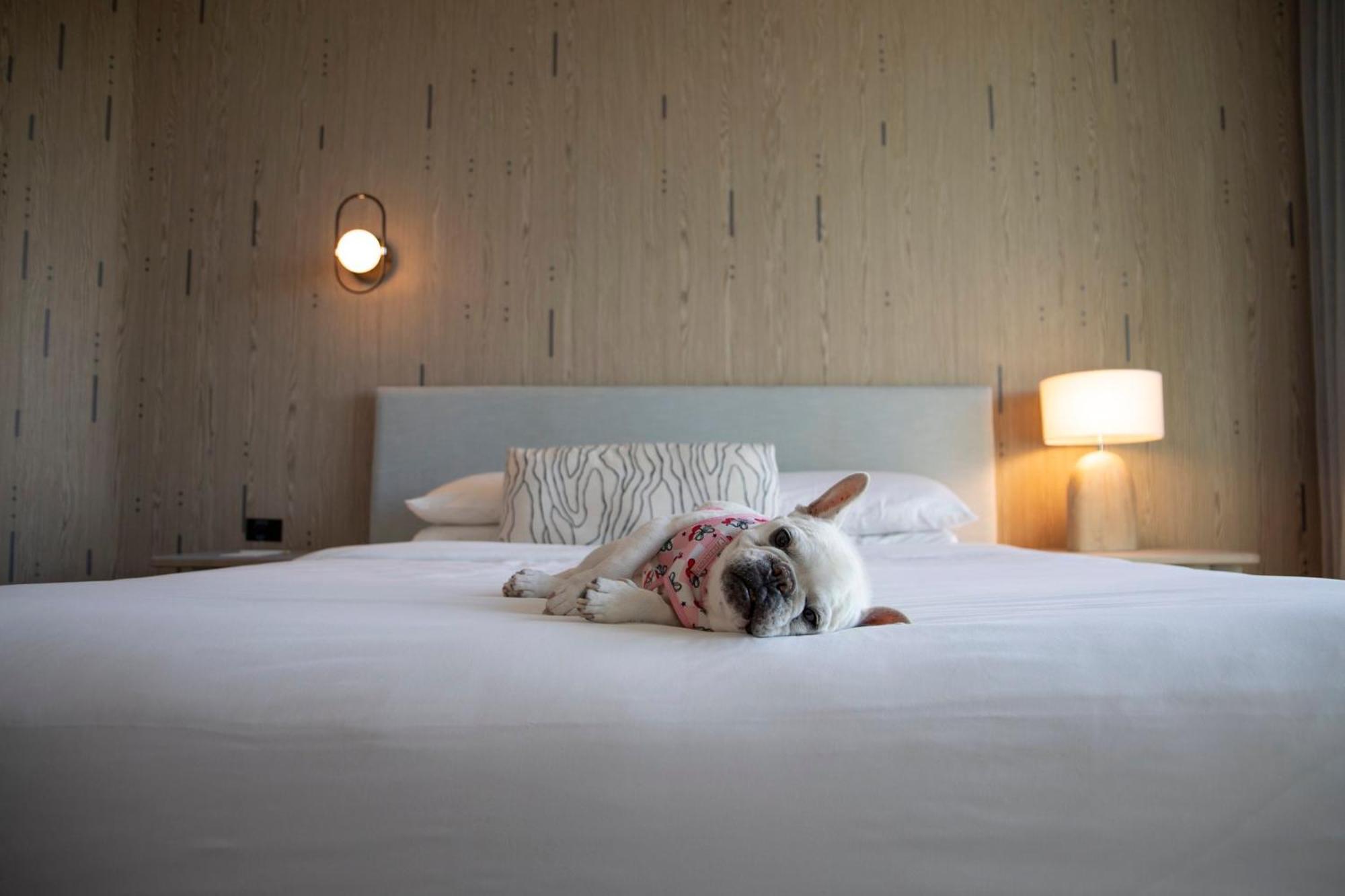 Kimpton - Hotel Palomar South Beach By Ihg Miami Beach Exterior photo